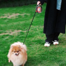 Extra Strong Retractable Dog