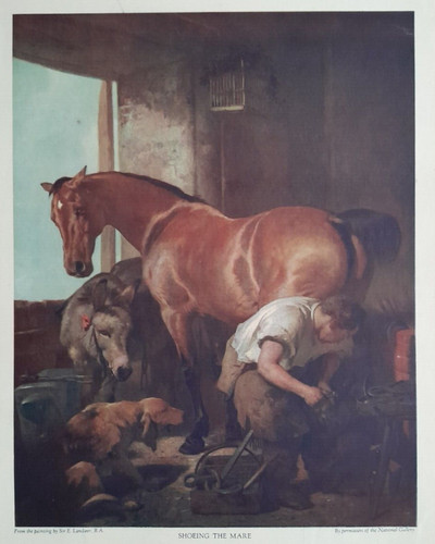 Landseer blacksmith horse mare - landseer,