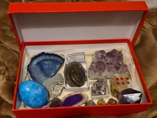 Crystal & Fossil Collection +