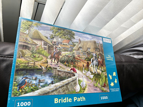 The house puzzles bridle - the,