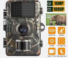 Wildlife Camera with Night