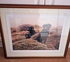 FRAMED STEVEN TOWNSEND L/E