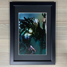 HERETEK ILLUCIS GRIZVALDI