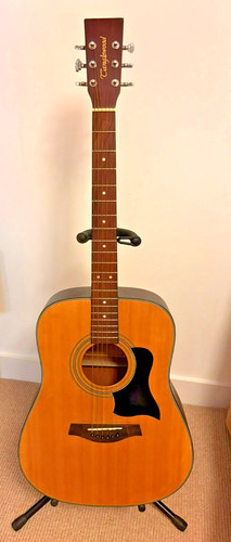 Tanglewood tw28snq acoustic - tanglewood,