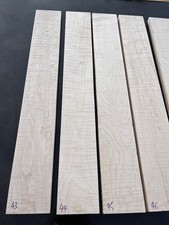 CURLY FLAME MAPLE electric