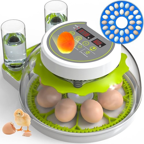 Egg incubator for hatching - egg,