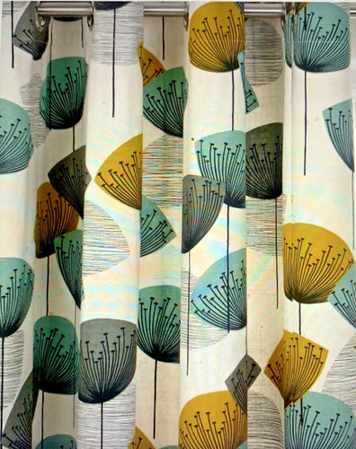 Sanderson dandelion clocks - dandelion,