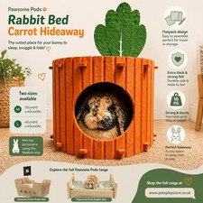 Pet Rabbit, Small Animal
