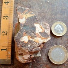 Medieval Church Floor Tile