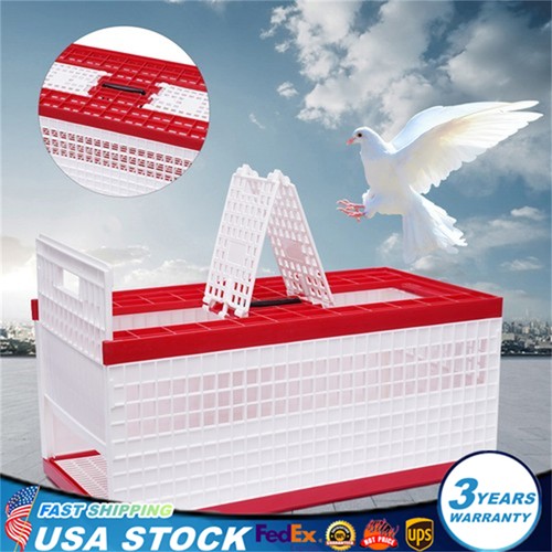 Racing pigeon carrier box - racing,