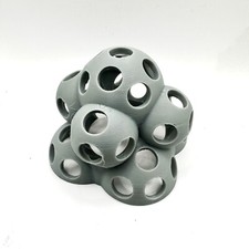 Shrimp tropical live aquarium