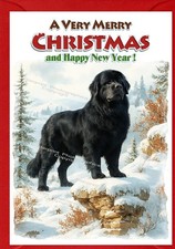 Newfoundland Dog Christmas