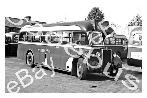 Bus photograph western welsh - photograph,