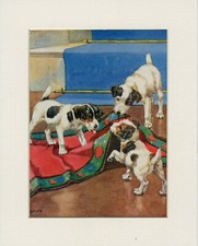 JACK RUSSELL TERRIER NAUGHTY