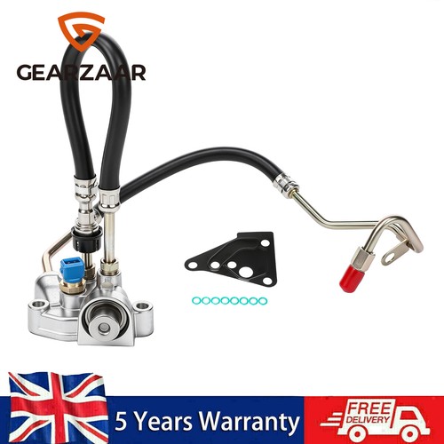 Fuel pressure regulator gasket - fuel,