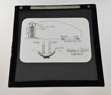 Antique Glass Magic Lantern Slide Illustration Nicholson & Carlisle Electrolysis