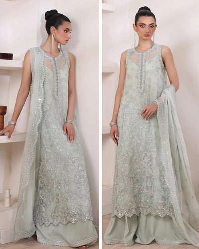 Pakistani designer embroiderd - pakistani,