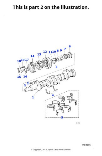 Jaguar genuine plug - jaguar,
