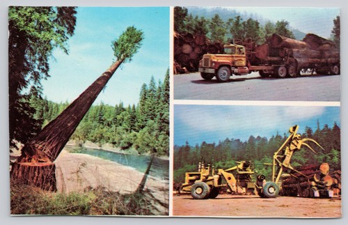 Vintage california north coast - california,