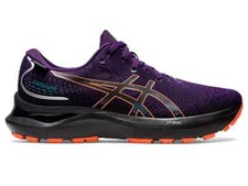 Asics Gel Cumulus 24 GTX