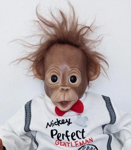 Baby orangutan monkey doll - orangutan,