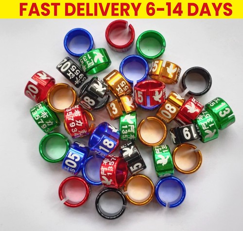 Customerized 50pcs birds - birds, rings