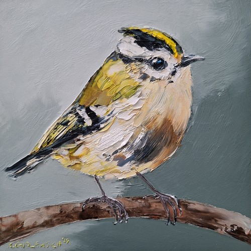 Goldcrest portrait original - goldcrest, portrait,