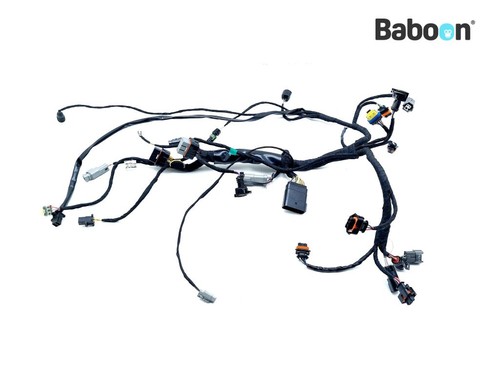 Wiring harness buell - harness,