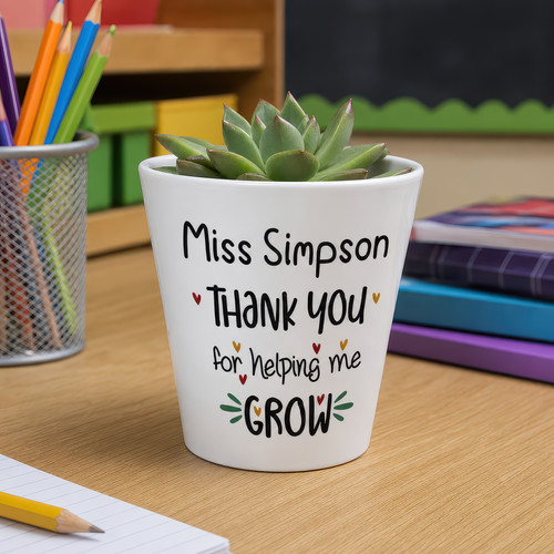Personalised teacher plant pot - plant,