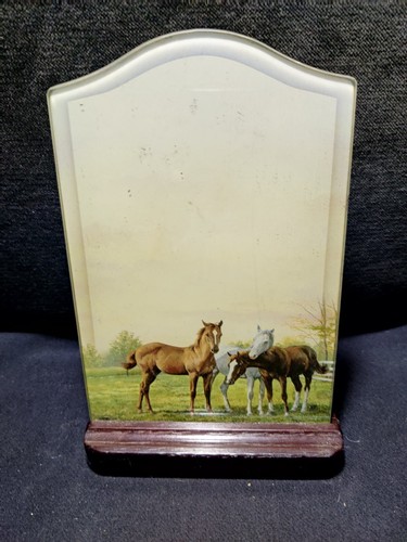 Horse decor glass - decor,