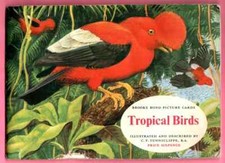 Brooke Bond: Tropical Birds