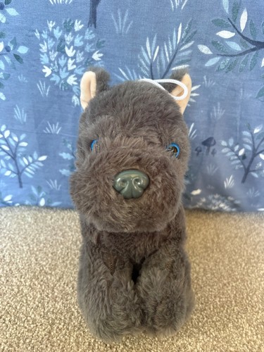 Borris the dog - borris, toy