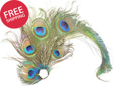 Faux Peacock Feather