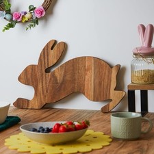 Spring Time Bunny Wooden Board