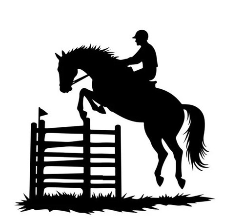Show jumping horse vinyl - jumping,