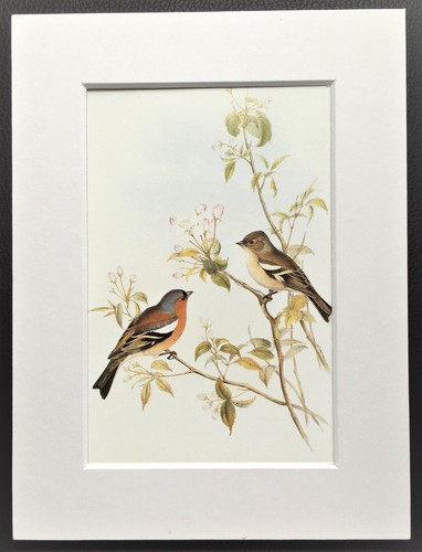 John gould 1970s vintage - gould,