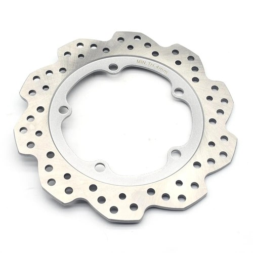 Rear brake disc - disc, for