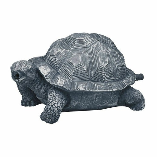 Oase pond spitting turtle - spitting,