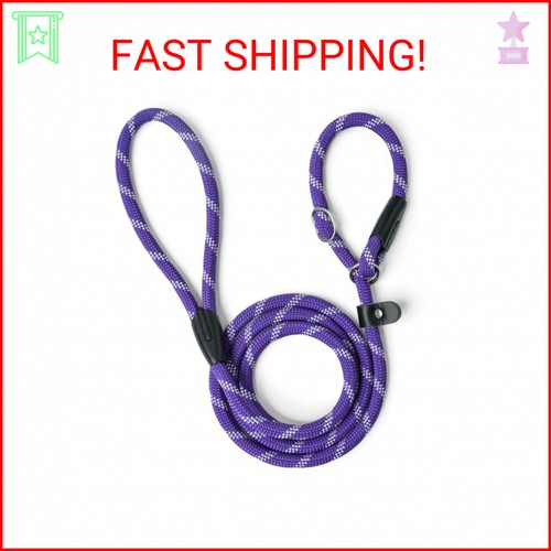 Wepet dog training - training, slip