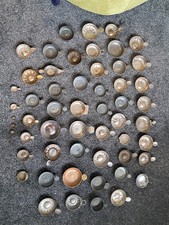 Collection Of 53 Wine tasting