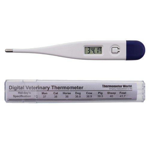 Vets thermometer veterinary - thermometer,