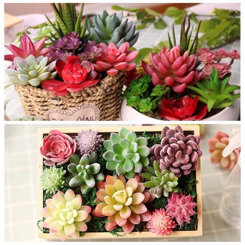 Outdoor home decor garden diy - outdoor,