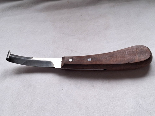 Wooden handle horse - , hoof