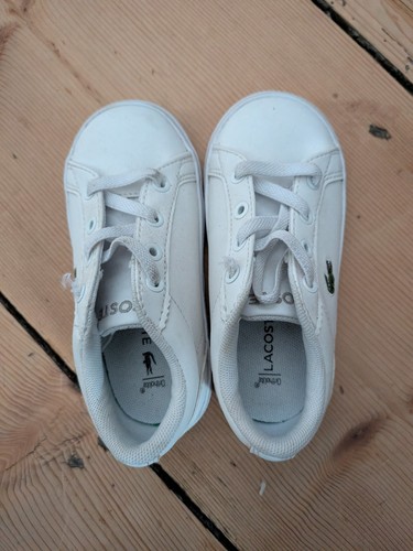 Lacoste baby shoes size - baby,