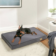 Large Dog Bed Orthopedic Dog