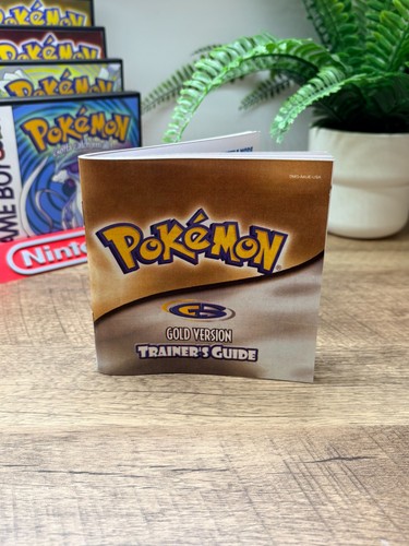Pokemon gold game - gold, boy