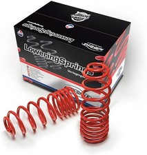 AutoStyle lowering springs