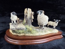 Border Fine Arts "Wrong Side of the Fence" Limited Edition sheep Figurine