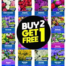 Flower Seeds Plants Baskets Sunflower,Pansy,Sweet Pea etc | Over 100 varieties