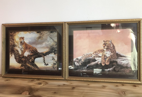Pair framed leopard kora - pair,